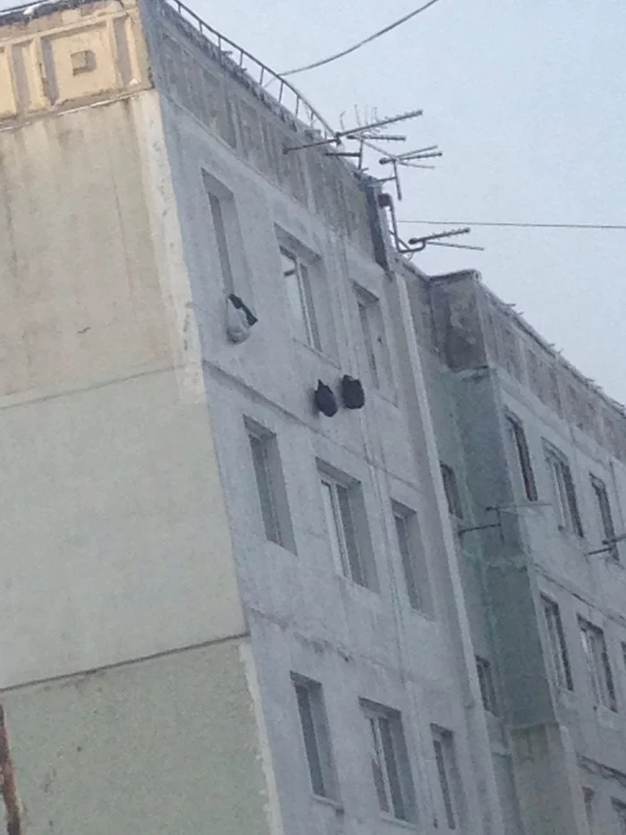 Refrigerators in Vladivostok - Vladivostok, Refrigerator, Freezing rain, No light