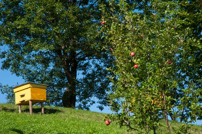 Carpathians. A walk with a camera in Bukovyna and the surrounding area. September 2018 - My, Hutsuls, Kolomyia, Travels, Longpost