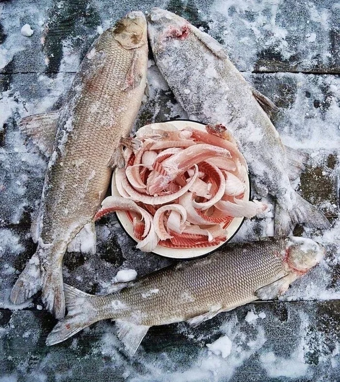 The right meal looks like this... - Stroganina, Yamal, Snack