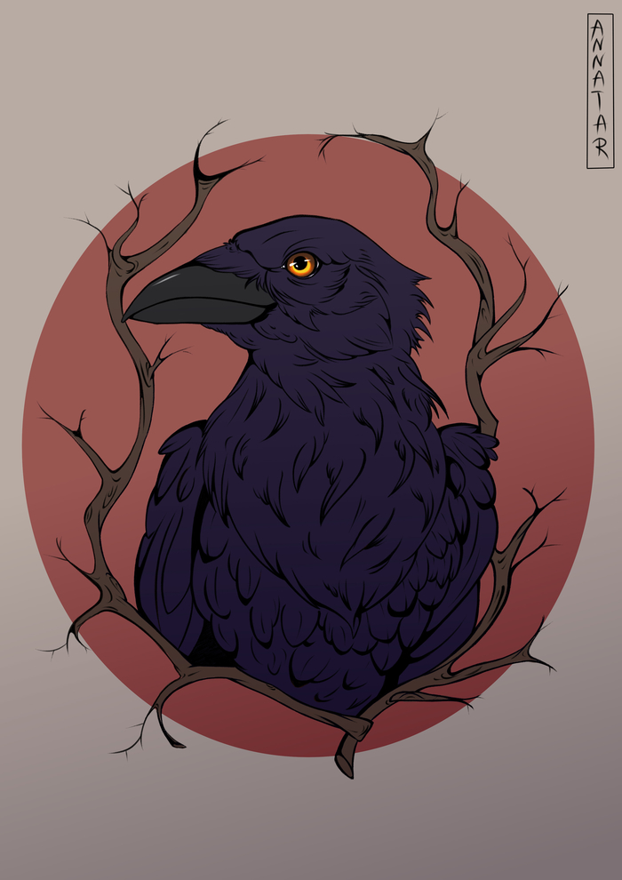 Raven , , , ,   -   
