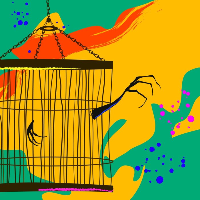 51. �������