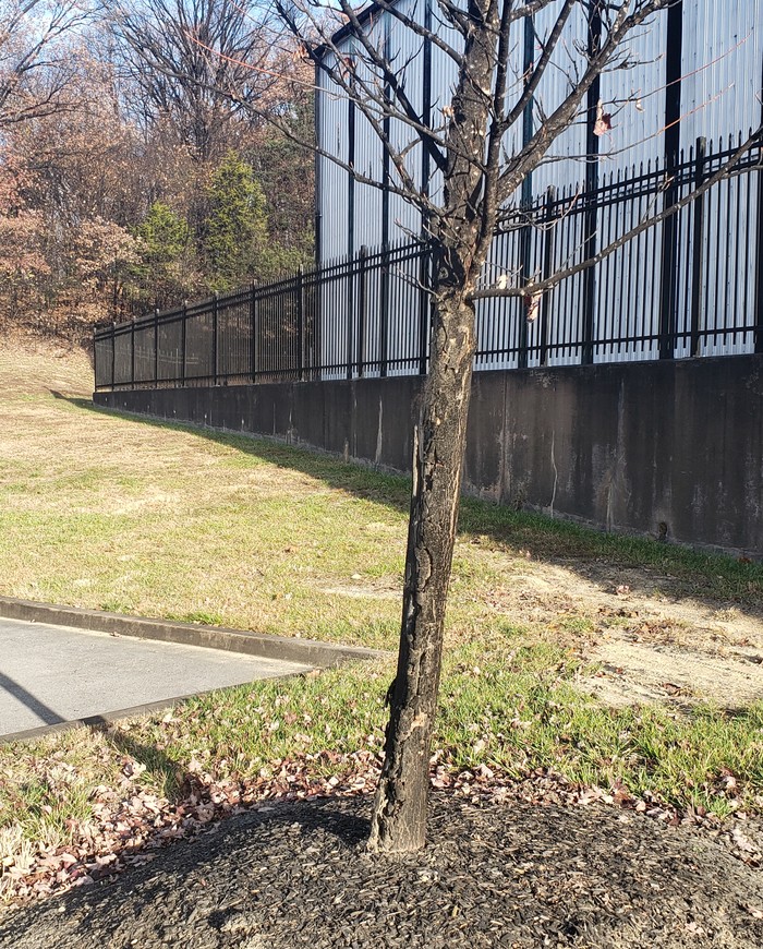 Джим Бим Jim Beam, Виски, Длиннопост Джим Бим Jim Beam, Виски, Длиннопост