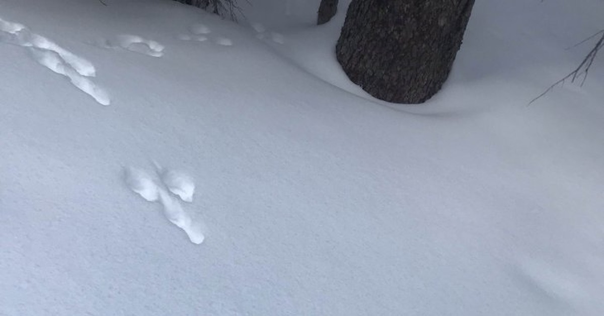 Откуда берутся лунки на обочине | Пикабу
