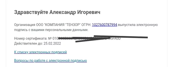 Нужна информация - Моё, Электронная подпись, Госуслуги, Без рейтинга, Юридическая помощь, Взлом, Персональные данные, Мошенничество, Тензор