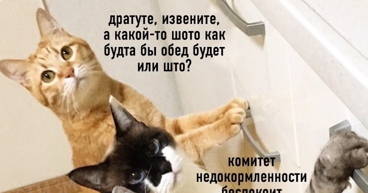 У нас что то типа обеда будет