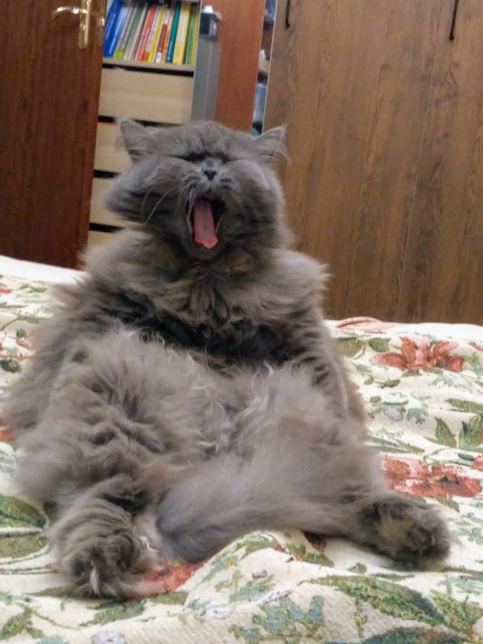 !