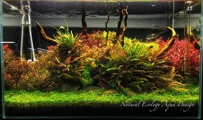 Вроде несложная композиция - но как гармонично смотрится