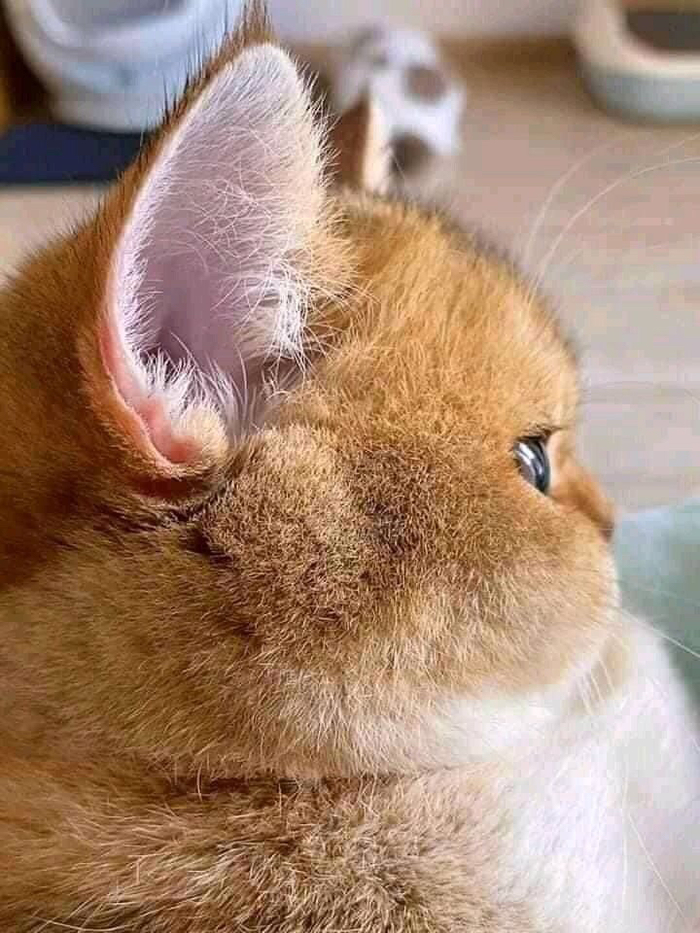        , , , 