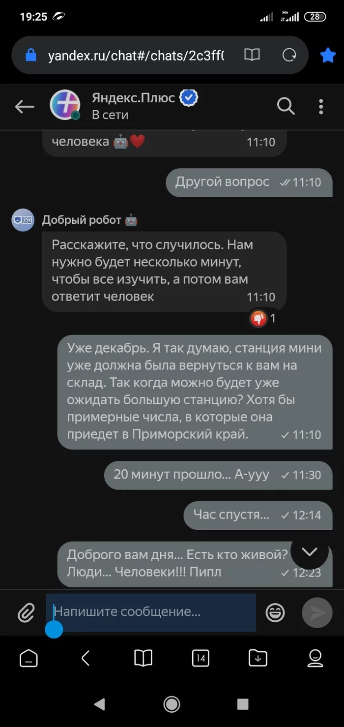 Continuation of the post “The wrong thing was sent” - My, Yandex., Smart speaker, Support service, mail, Package, Purchase, Correspondence, Screenshot, Reply to post, Longpost, Yandex Station