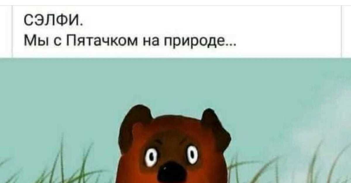 Генассия клуб неисправимых оптимистов. Пессимист карикатура. Оптимизм картинки прикольные. Оптимист это не тот кто. Селфи мы с пятачком на природе.