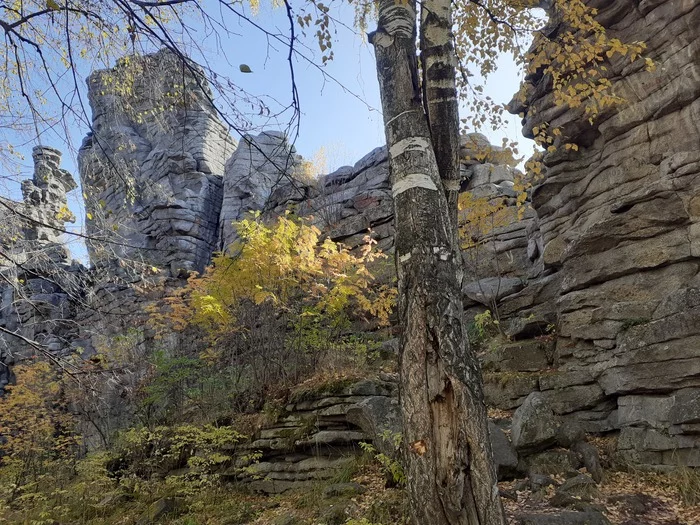 Rocks Seven Brothers and One Sister - My, Travels, Sverdlovsk region, Verkh-Neyvinsky, Yekaterinburg, Hike, Ural, Longpost