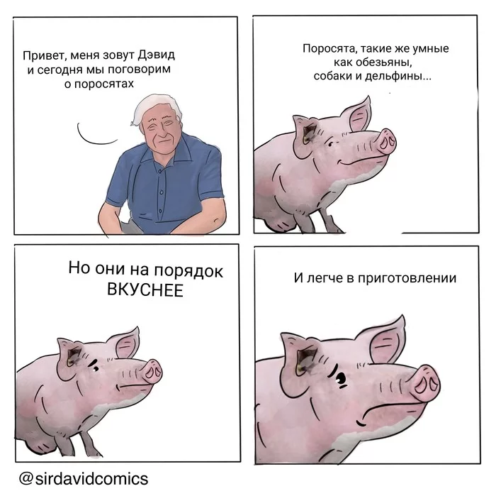 Piglets - Translation, Comics, Pig, Piglets, David Attenborough, Cooking