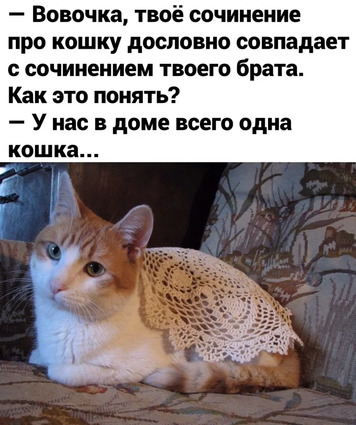 Кошка ,кошка кошка кошка - Кот, Сочинение, Картинка с текстом