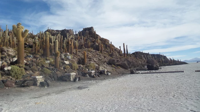Latin American checkmark - Salar de Uyuni (03.12.2019) - end - My, Travels, Tourism, South America, Longpost, Series Latin American Tick 20192020