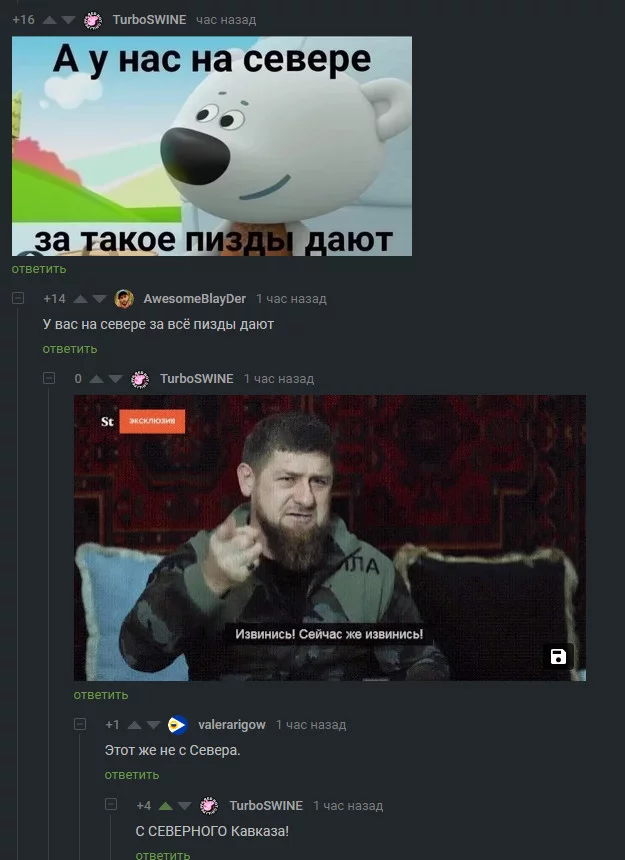 In Russia even the Northern Caucasus - Caucasus, North, Apology, Ramzan Kadyrov, Humor, Mat, Screenshot, Comments on Peekaboo