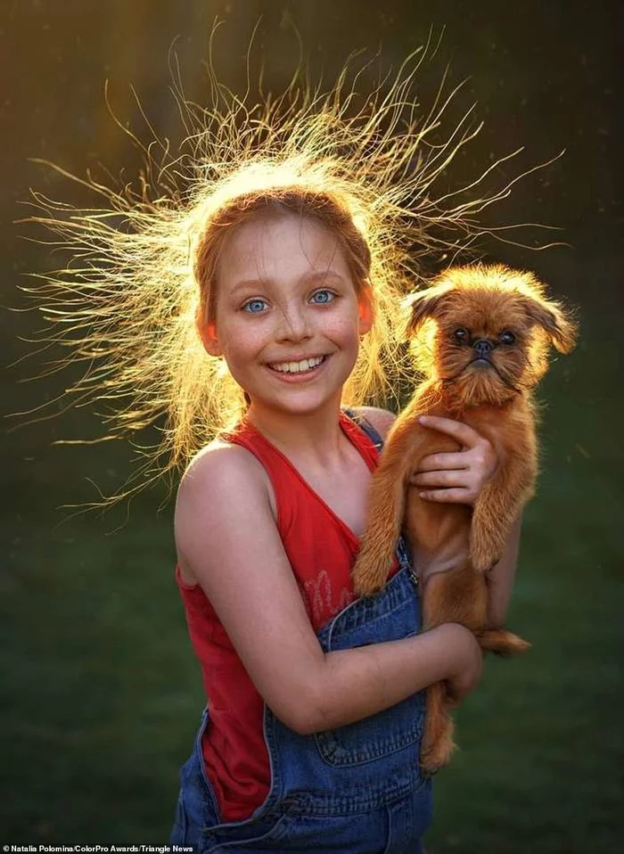 Joy - The photo, Puppies, Redheads, Girl, Brussels Griffon, Dog