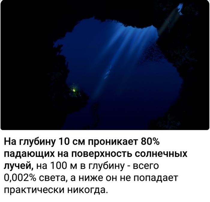 Солнечный свет