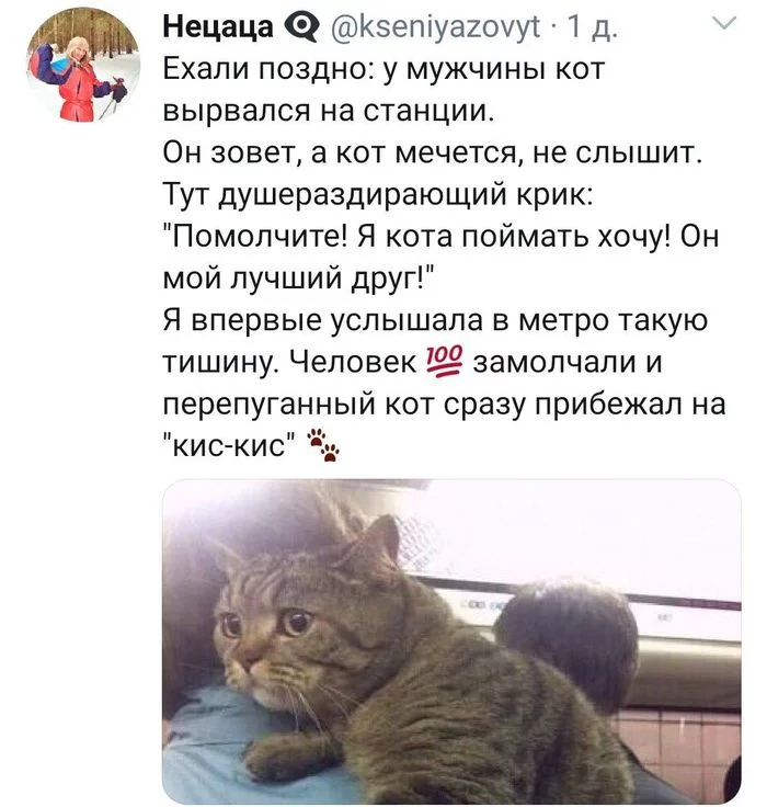 Лучший друг - Скриншот, Twitter, Баян