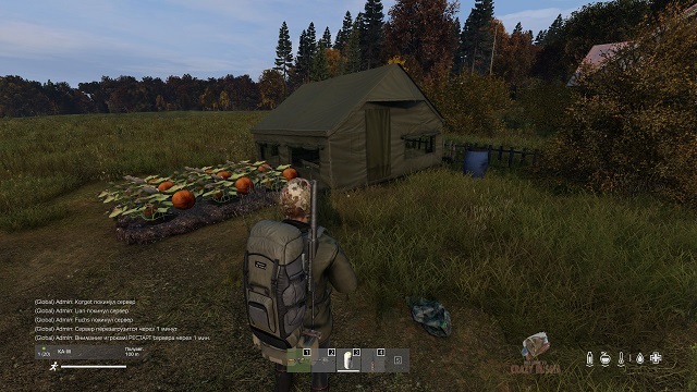 Running simulator or pumpkin grower? Review of the game DayZ post-apocalypse - My, DayZ, Overview, Review, Games, Zombie, Apocalypse, Fashion, Longpost
