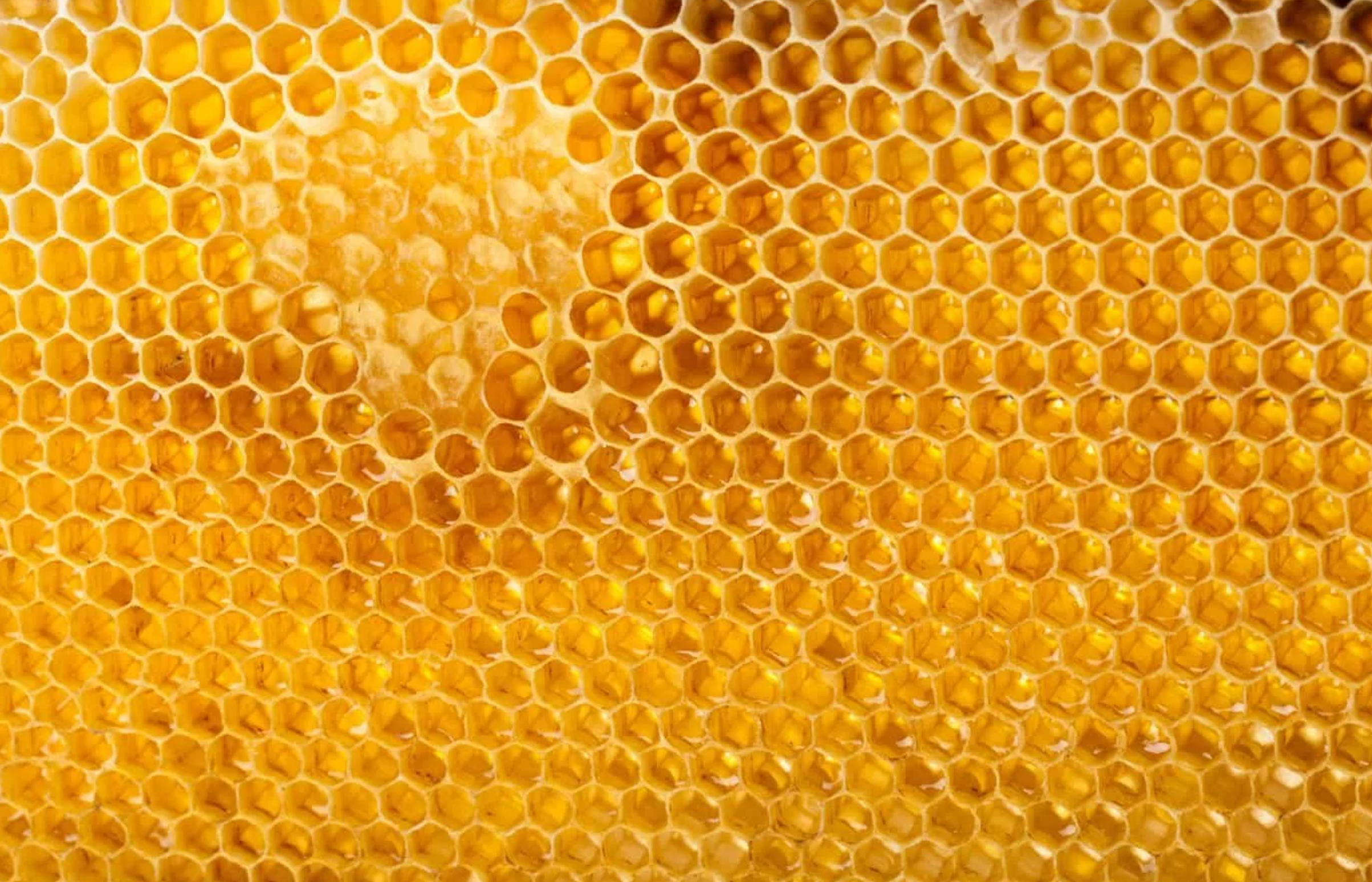 Соты пчелиные. Соты слушать. Соты пчел. Соты слушать. Соты слушать.