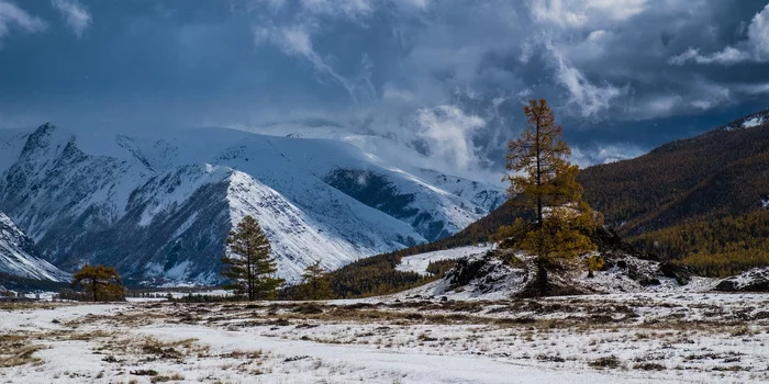 Early winter - My, Altai Republic, The mountains, Siberia, Snow, The nature of Russia, Nature, The photo, Landscape