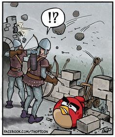 Cunning during the assault - Storm, Cunning, Humor, Angry Birds, Images