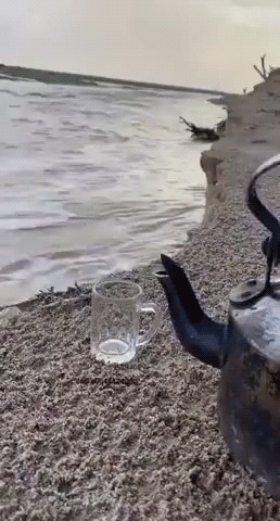 ти баг чайный пакетик