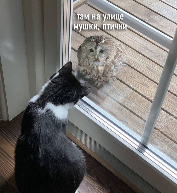    , , , 