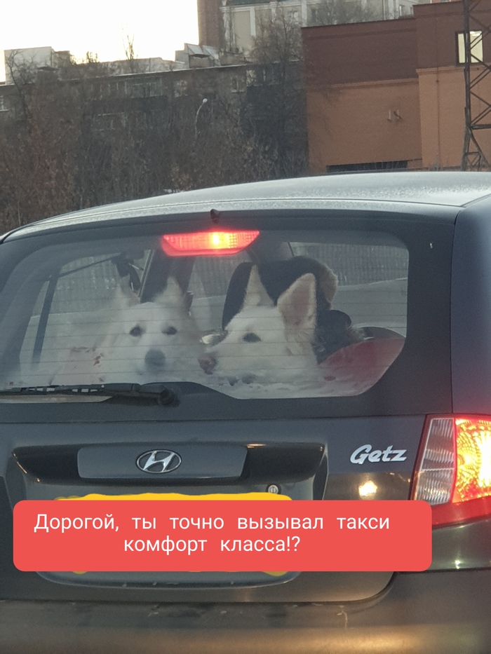 �� ������))) ��� ���!!!