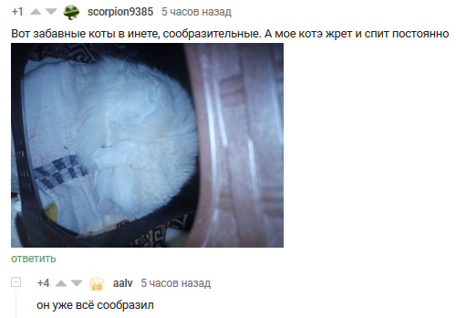 ��� ����� �����, ��� ��� � ����