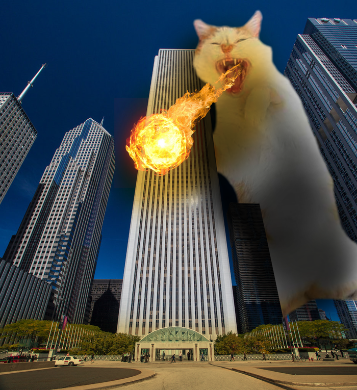       Photoshop, ,  , ,   , 