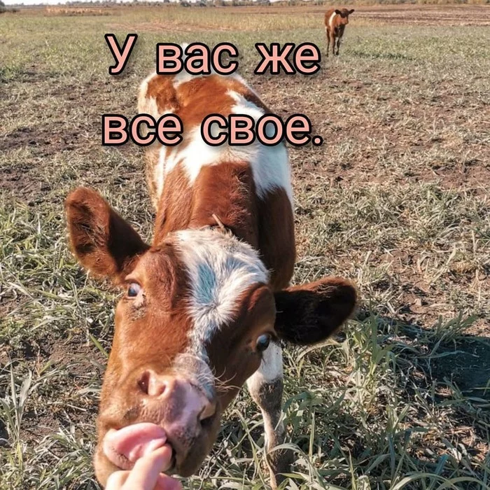 You have everything of your own? - Village, Сельское хозяйство, Longpost