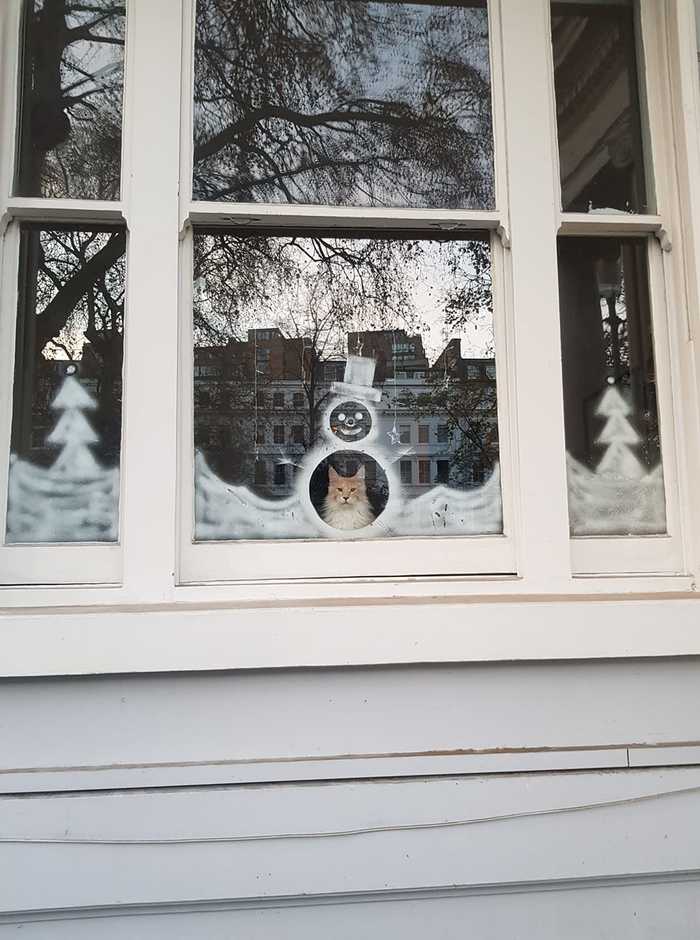 ���������� ����