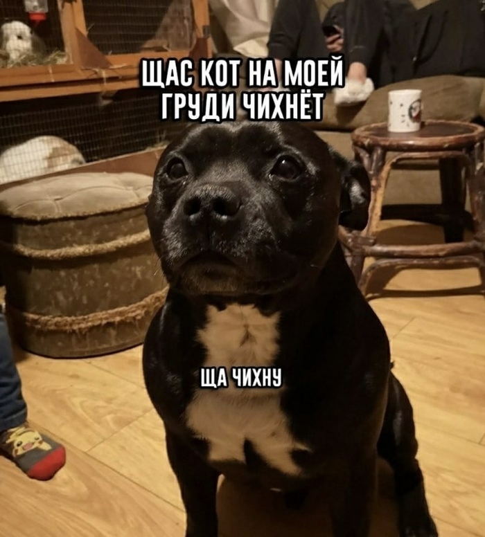 �� �����