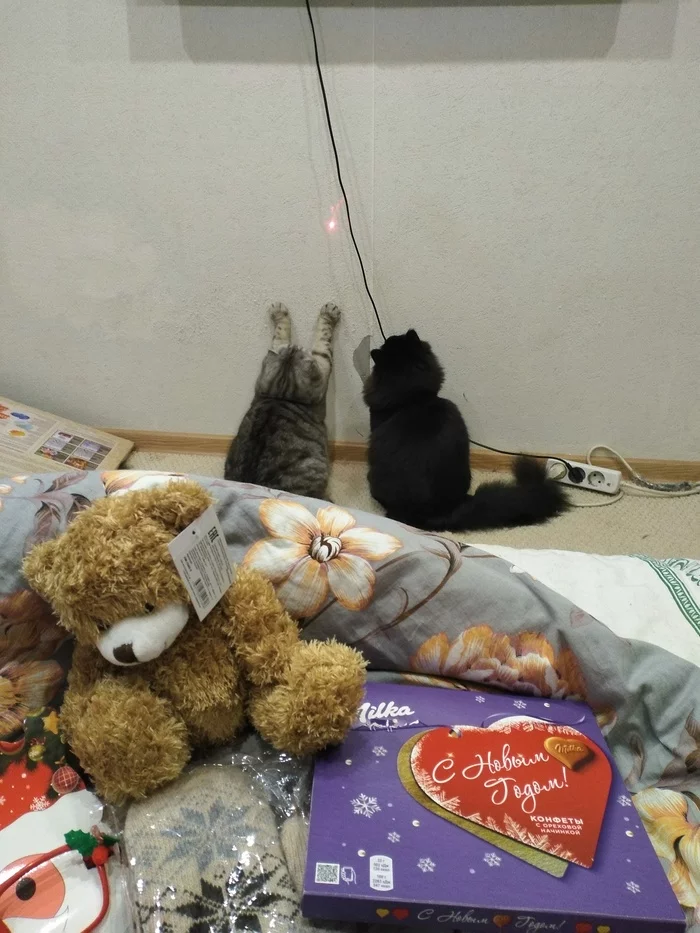 ADM New Year's gifts from Vyatsky to Kingisepp) - My, New Year, Gift exchange, Presents, Positive, cat, Longpost