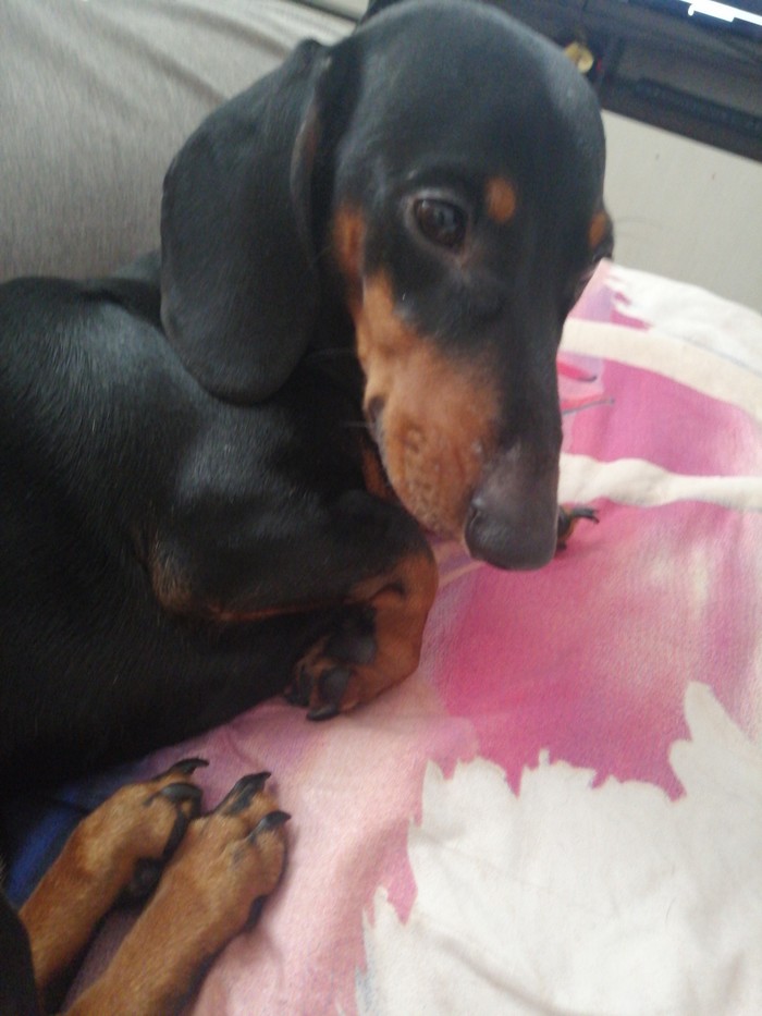 Астма и родственник с ковидом, продолжение