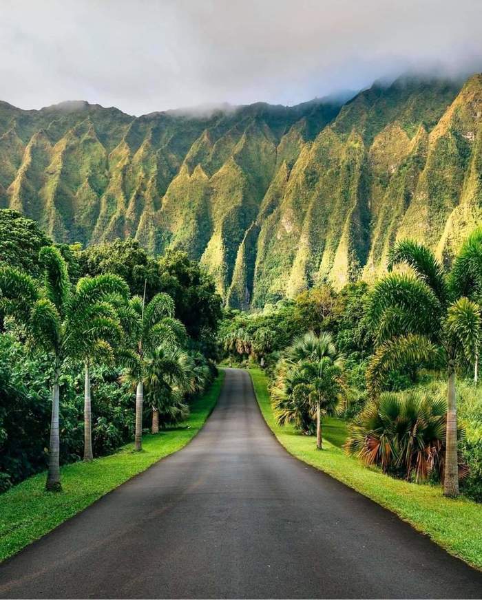 Hawaii - Hawaii, USA, The photo, Travels, Tourism, Palm trees, Road, The mountains