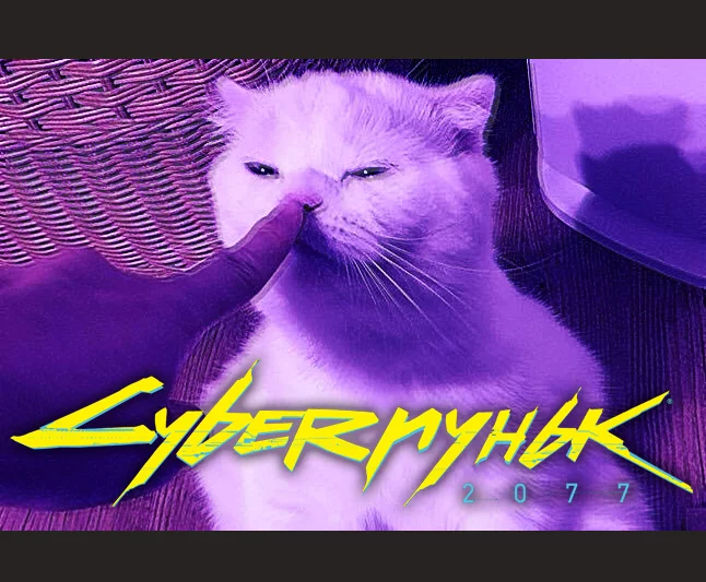 I'd like to play - My, Cyberpunk 2077, cat, pun, Boop