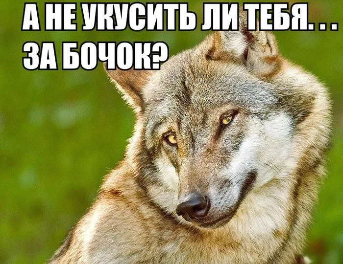 Lupus, TNF, Trump are also from our pack - My, Health, Systemic lupus erythematosus