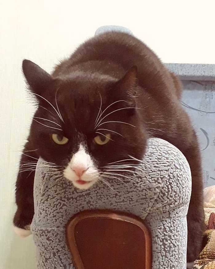     ,  , , , 