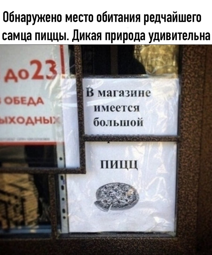 ����� ������