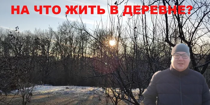 Continuation of the post “I bought a plot in the village for 350 rubles!” - My, Village, Land plot, Relocation, From city to country, Work, Video, Reply to post, Longpost