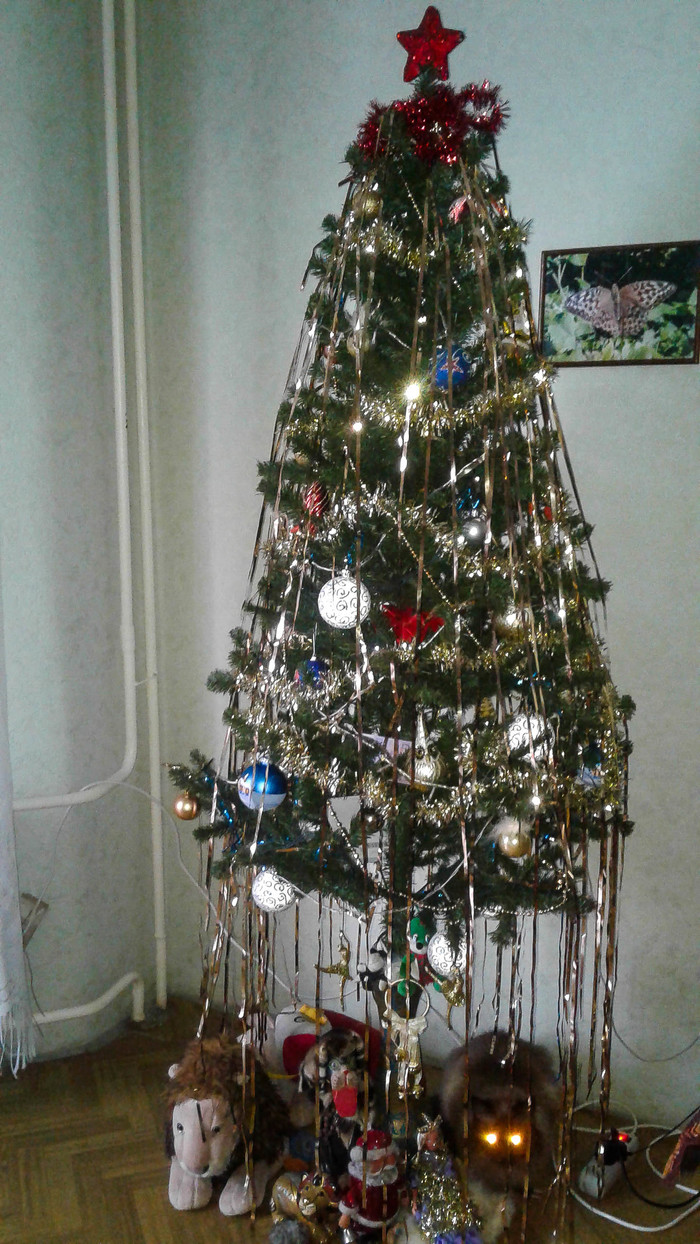 Кот включил фары