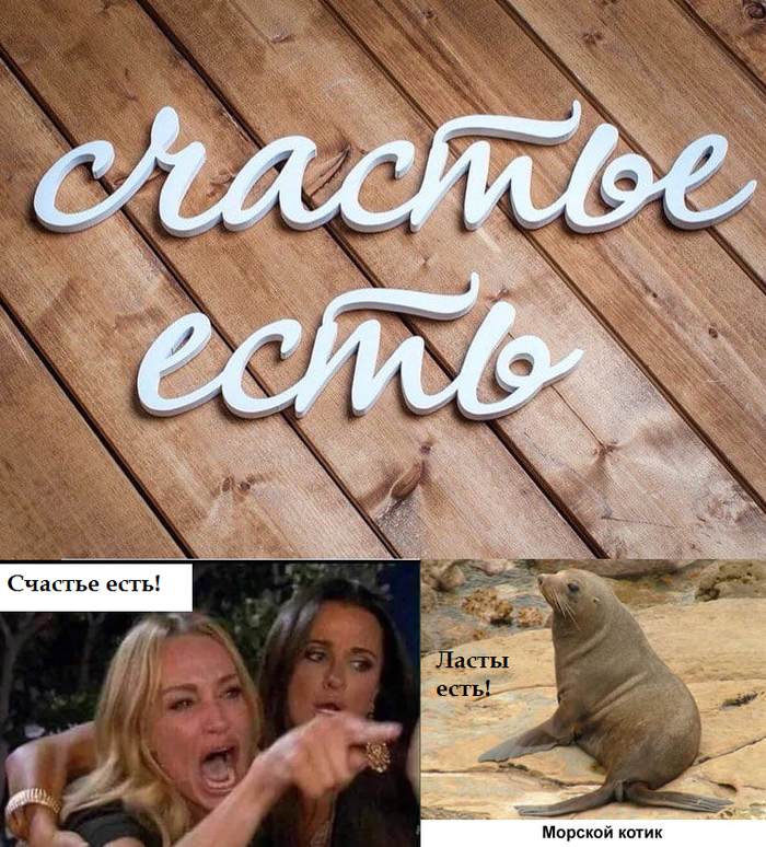 Другой котик