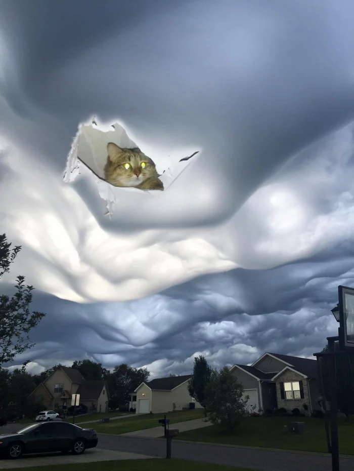 Undulatus Asperatus Clouds over Kentucky - Washout clouds, cat, Photoshop