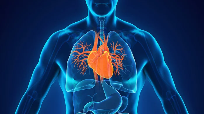 The work of which organs should be monitored on hemodialysis - My, A life, Hemodialysis, Hospital, Doctors, Medications, Vitamins, Kidney, Nephrology, , Dialysis, Heart, Thyroid