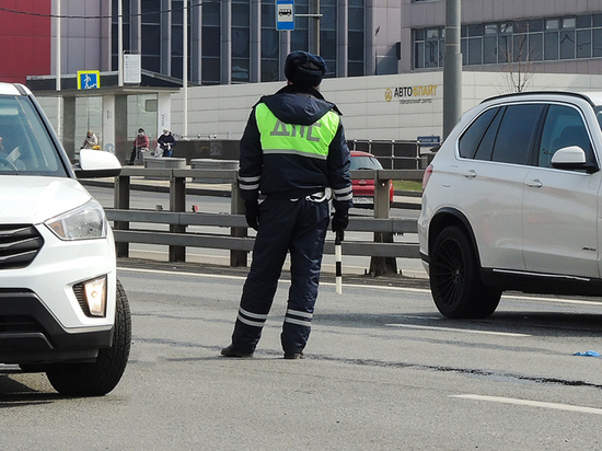 The driver punished the traffic cops with a ruble, proving that the dirty numbers were clean - Court, Gai, Traffic cop, Police, Positive, Longpost, Supreme Court, Jurisprudence