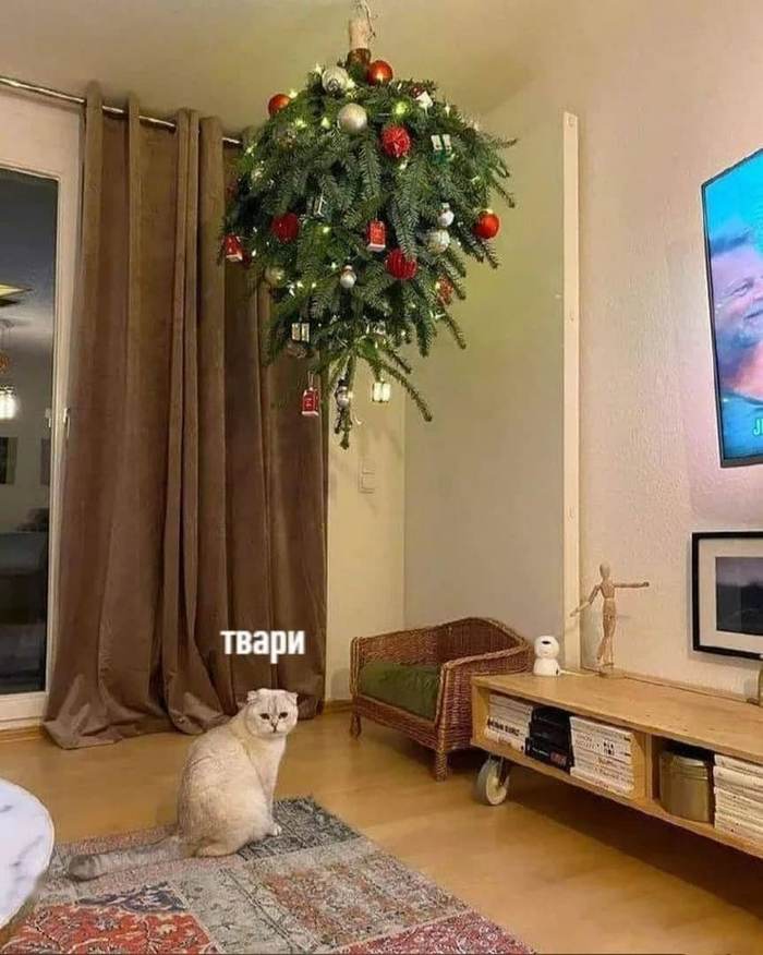 Saving the Christmas tree - cat, Christmas tree, New Year