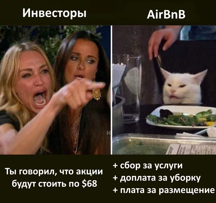 AirBnB debuts on the stock exchange - Airbnb, Stock, Stock exchange, Two women yell at the cat