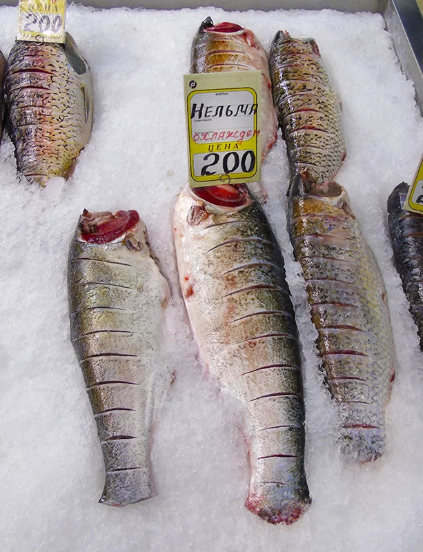 Неправильные названия рыб на нашем рынке Рыба, Рынок, Обман, Кулинария, Длиннопост, Негатив